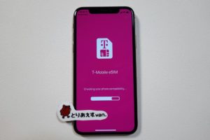 Gigskyのesimをiphoneで使って気づいた Gigskyのメリット デメリット とりあえずバンクーバー